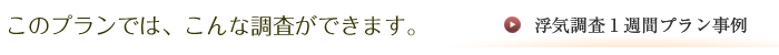 このプランでは、こんな調査ができます。浮気調査１週間プラン事例を見る