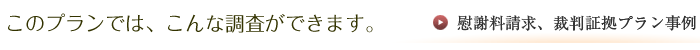 このプランでは、こんな調査ができます。慰謝料請求、裁判証拠プラン事例を見る