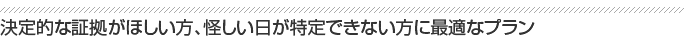 決定的な証拠がほしい方、怪しい日が特定できない方に最適なプラン