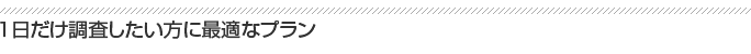 １日だけ調査したい方に最適なプラン