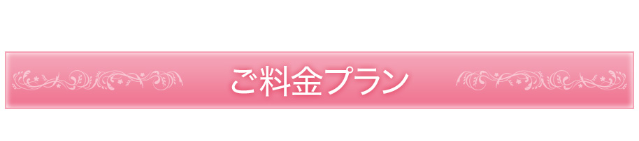 ご料金プラン