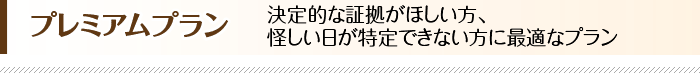 決定的な証拠がほしい方、怪しい日が特定できない方に最適なプラン