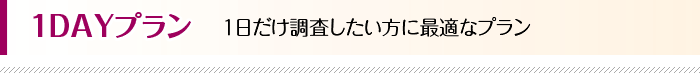 1日だけ調査したい方に最適なプラン