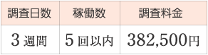 調査日数／3週間、稼働数／5回以内、調査料金／382,500円